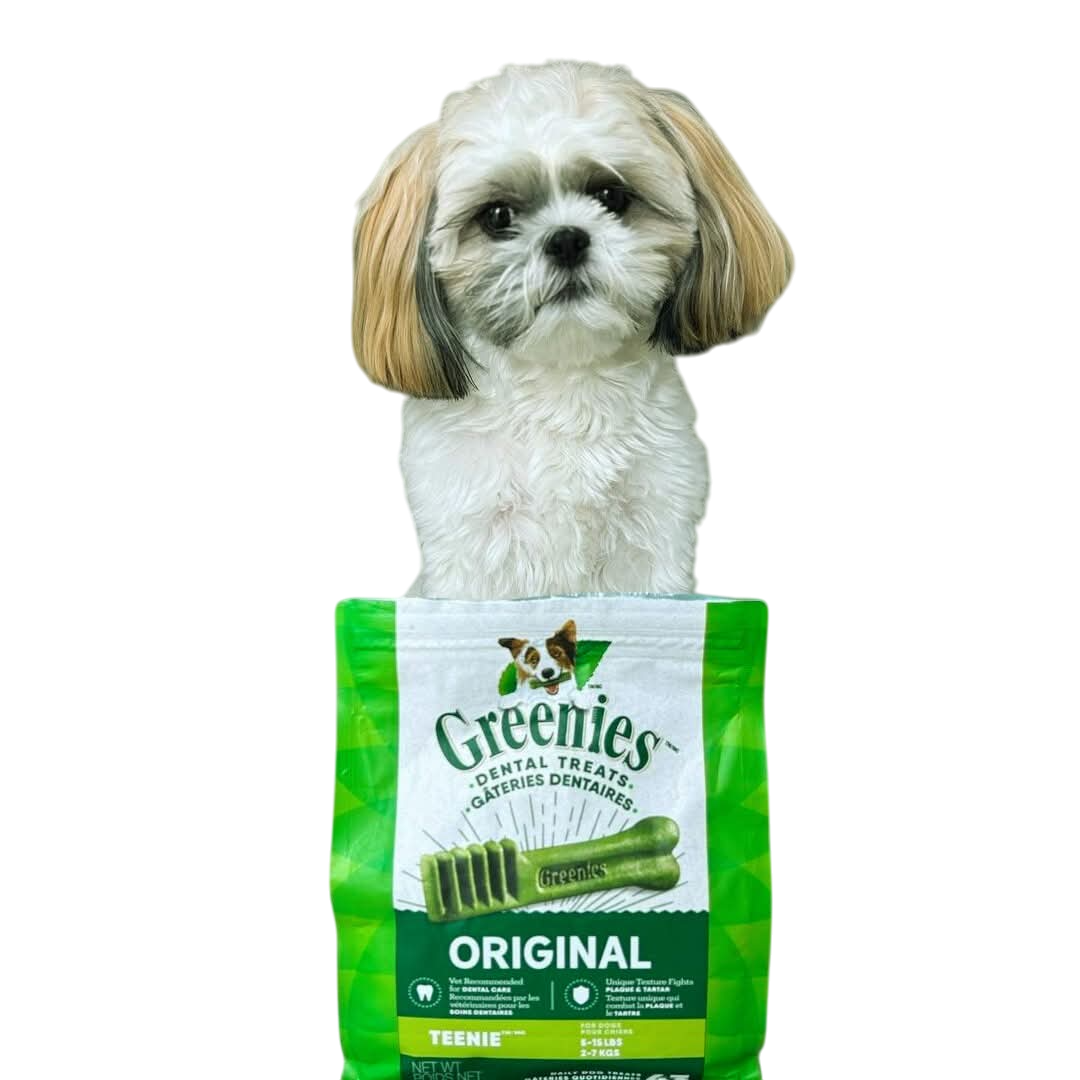 Are Greenies Good for Dogs? Yes — but with some important considerations. Let’s break it down: --- ✅ Benefits of Greenies for Dogs Greenies are a popular type of dental chew designed to improve your dog's oral health. Here's why many vets and dog owners recommend them: Plaque & Tartar Reduction: Their texture helps scrub your dog’s teeth, reducing tartar and plaque buildup. Fresher Breath: They can help freshen your dog’s breath when used regularly. Highly Palatable: Most dogs love the taste! Easily Digestible: Greenies are made with soluble ingredients that break down easily in the stomach. --- ⚠️ Things to Watch Out For While Greenies are generally safe, here are a few precautions: Size Matters: Always choose the right size for your dog’s weight. Giving a large chew to a small dog (or vice versa) can be risky. Chewing Style: If your dog gulps treats instead of chewing properly, it may lead to choking or digestive issues. Allergies/Sensitivities: Some dogs may have allergies or sensitivities to ingredients like wheat or poultry. Calories Count: Greenies are treats — not meals. Too many can lead to weight gain. --- 🦴 Best Practices Give one Greenie per day, as recommended by the brand. Supervise your dog the first few times to make sure they chew it properly. Store in a cool, dry place and keep the bag sealed to maintain freshness. --- 🐶 Final Verdict Yes, Greenies can be good for dogs, especially when used correctly as part of a dental health routine. However, like any treat, they should be given in moderation and under supervision. If your dog has a sensitive stomach or known allergies, consider alternative dental chews or ask your vet for recommendations. --- Let me know if you want to turn this into a blog article (SEO-optimized) — I can help you format it perfectly for your blog!